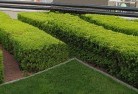 Armatreecommercial-landscaping-1.jpg; ?>